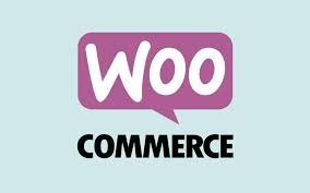 خدمة الدفع الإلكتروني لمتجرك على ووردبريس (WooCommerce)
